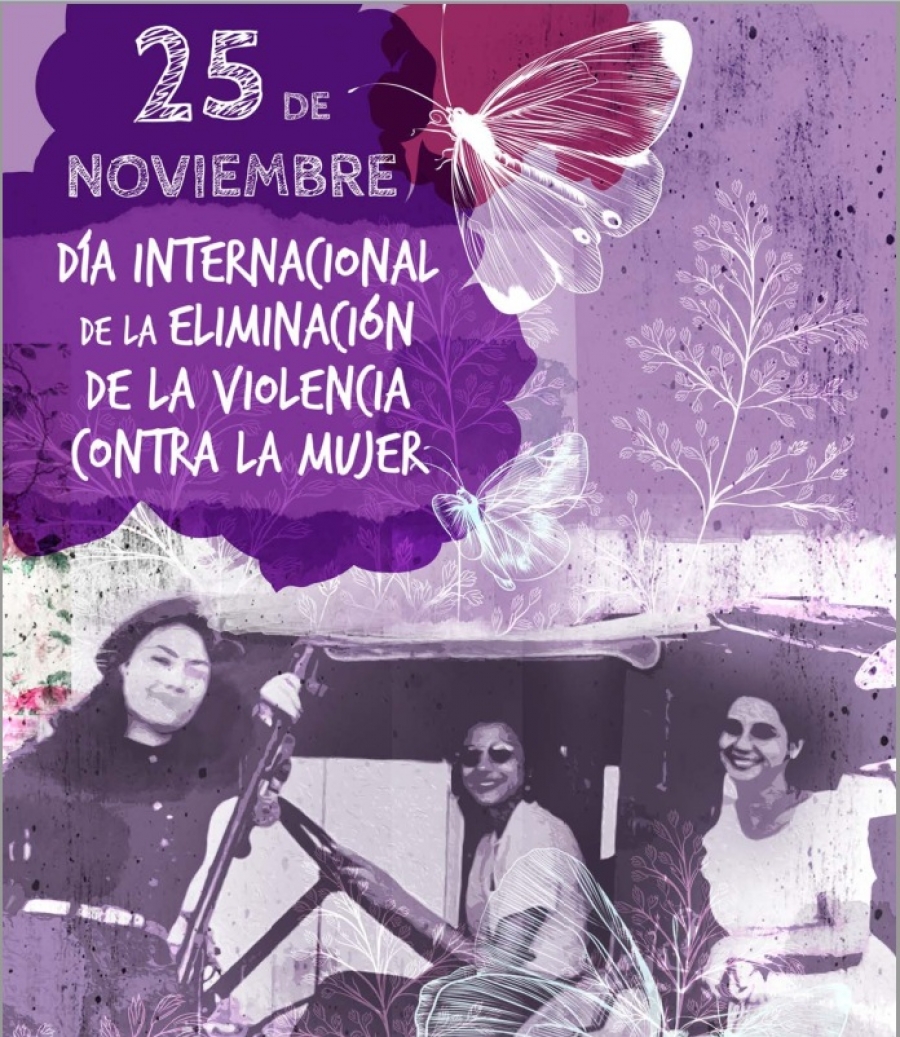 25 DE NOVIEMBRE: DÍA INTERNACIONAL DE LA ELIMINACIÓN DE LA VIOLENCIA ...